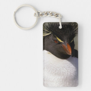 Antarctica, Sub-Antarctic Islands, South 5 Key Ring