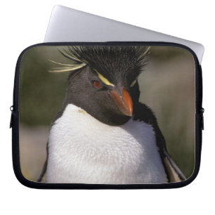 Antarctica, Sub-Antarctic Islands, South 5 Laptop Sleeve