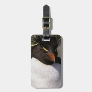 Antarctica, Sub-Antarctic Islands, South 5 Luggage Tag