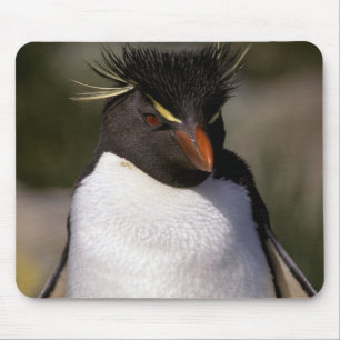 Antarctica, Sub-Antarctic Islands, South 5 Mouse Mat
