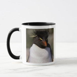 Antarctica, Sub-Antarctic Islands, South 5 Mug