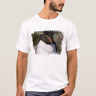 Antarctica, Sub-Antarctic Islands, South 5 T-Shirt