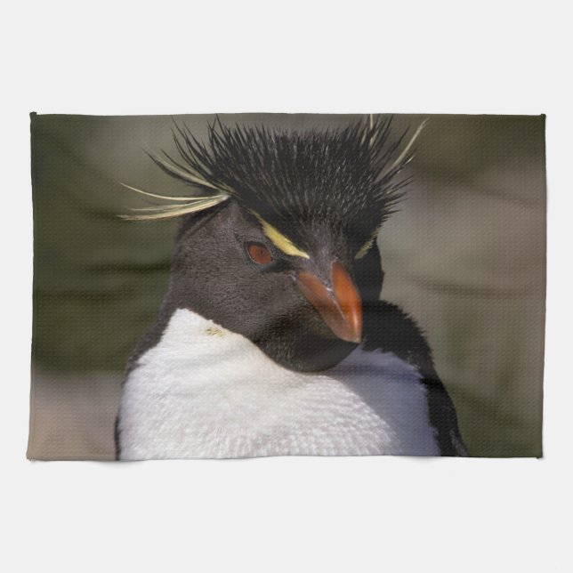 Antarctica, Sub-Antarctic Islands, South 5 Tea Towel (Horizontal)