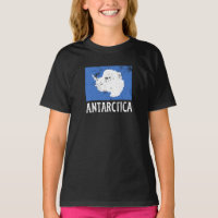 Antarctica vintage Flag