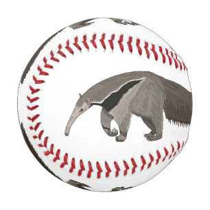 Anteater cartoon illustration  baseball