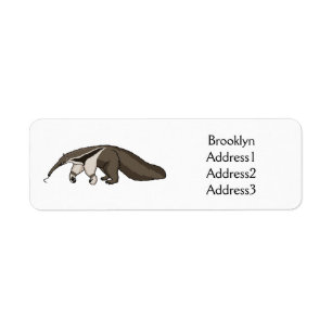 Anteater happy cartoon illustration 