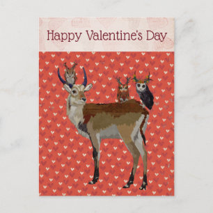 ANTELOPE & ANTLER OWLS VALENTINE'S Postcard