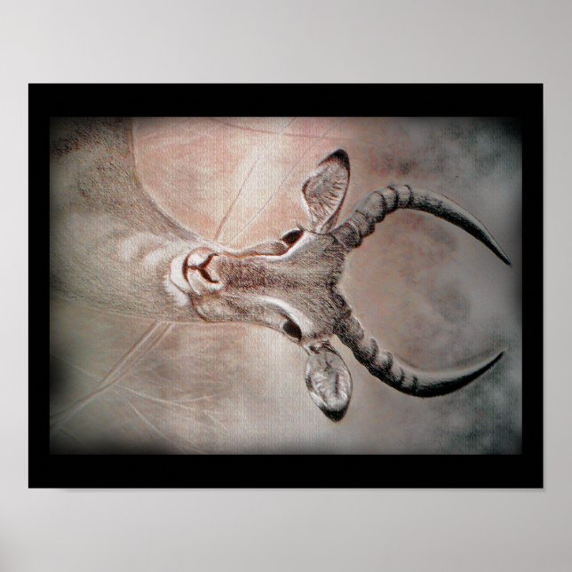 Antelope Art Poster (Front)