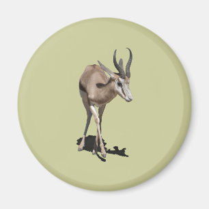 Antelope Baby Magnet