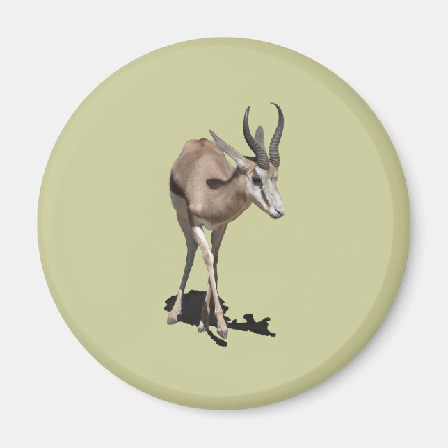 Antelope Baby Magnet (Front)