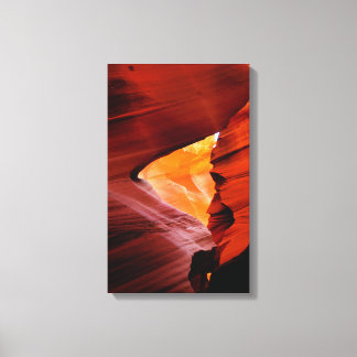 Antelope Canvas 13-21 Print