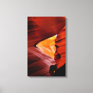 Antelope Canvas Print
