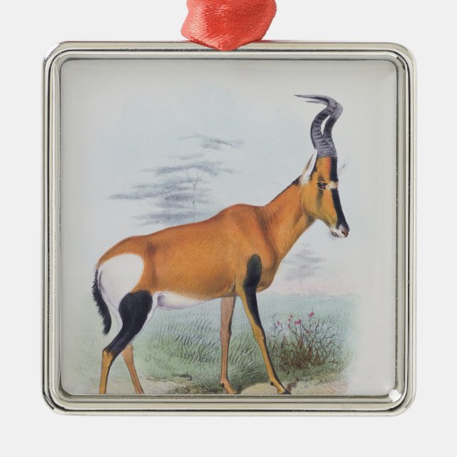 Antelope, from 'The Book of Antelopes', Metal Tree Decoration (Front)
