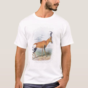 Antelope, from 'The Book of Antelopes', T-Shirt