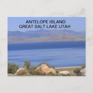  Antelope Island Great Salt Lake in Utah Postcard