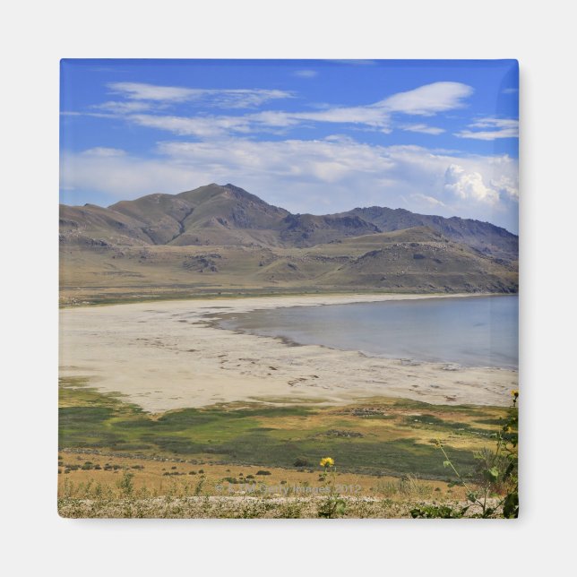 Antelope Island State Park, Great Salt Lake, Magnet (Front)