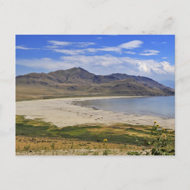 Antelope Island State Park, Great Salt Lake, Postcard (Front)