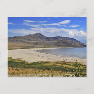 Antelope Island State Park, Great Salt Lake, Postcard
