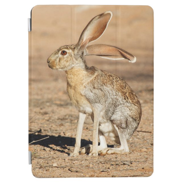 Antelope Jackrabbit iPad Air Cover (Front)