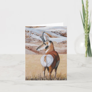 Antelope Note Card 2