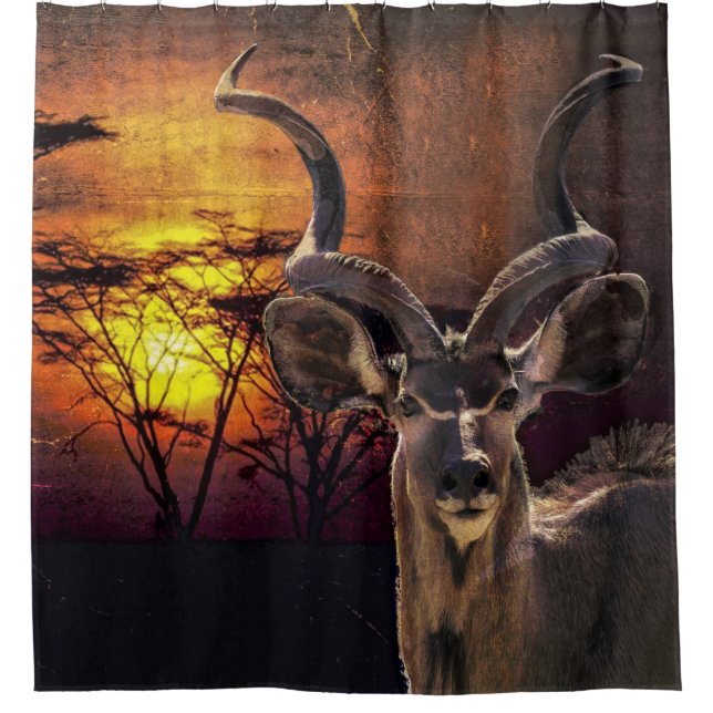 Antelope Sunset Photo Collage Shower Curtain (Front)