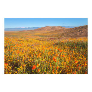 Antelope Valley Photo Print