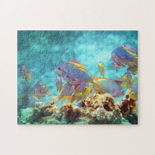 Anthias - Colourful school of fish at coral reef   Jigsaw Puzzle