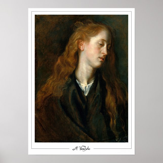 Anthony van Dyck Zedign Art Poster #140 (Front)