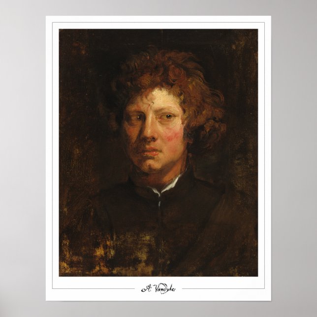 Anthony van Dyck Zedign Art Poster #75 (Front)