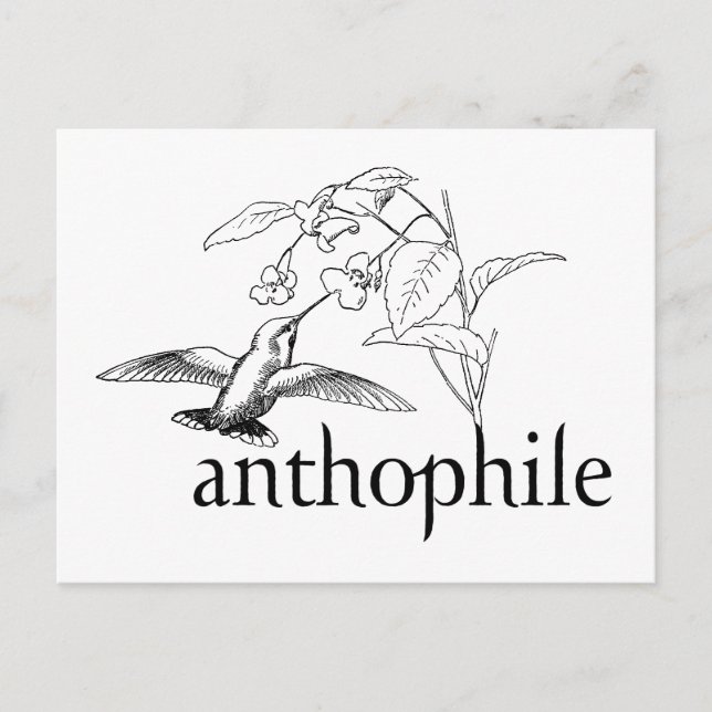 Anthophile Postcard (Front)