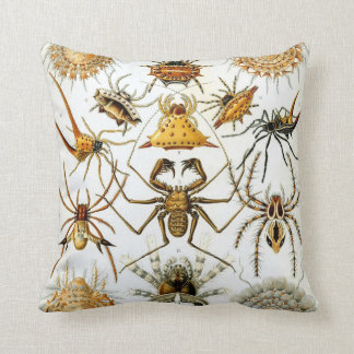 Anthropology Comfort Cushion