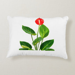Anthurium Decorative Cushion
