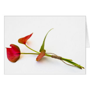 Anthurium flower