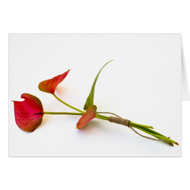 Anthurium flower (Front Horizontal)