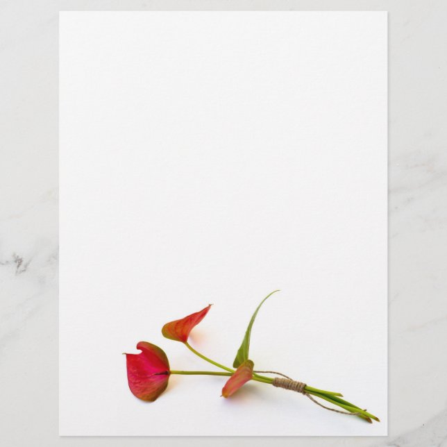 Anthurium flower (Front)