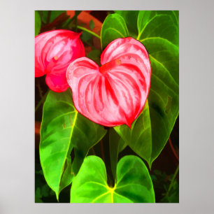 Anthurium Plant Poster