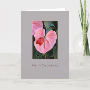Anthurium sympathy card italian