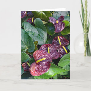 Anthuriums  thank you card