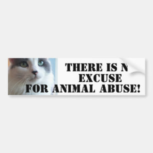 Anti Animal Abuse Sad Kitty Bumper Sticker