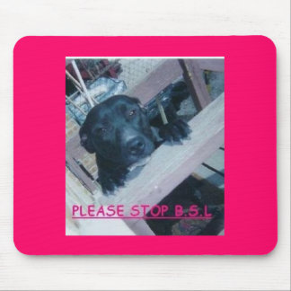 ANTI BSL MOUSE MAT