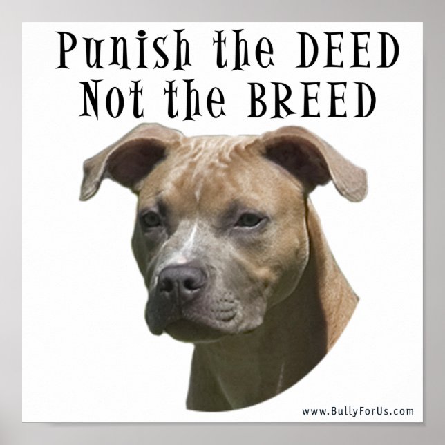 Anti-BSL Punish the Deed, Not the Breed Poster (Front)