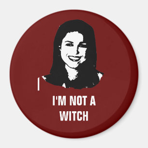 Anti- Christine O'Donnell Magnet