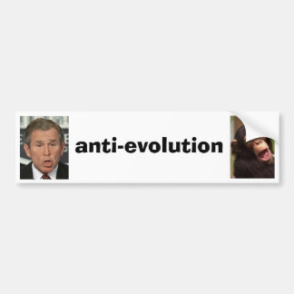 Anti-Evolution Bumper Sticker