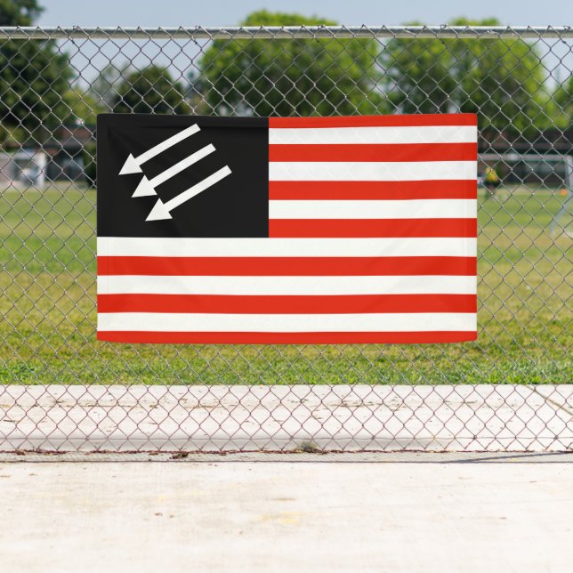 Anti-Fascist American Flag Banner (Insitu)