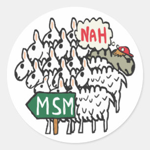 Anti MSM Classic Round Sticker