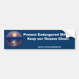 ANTI-POLLUTION KILLER WHALE Bumper Sticker
