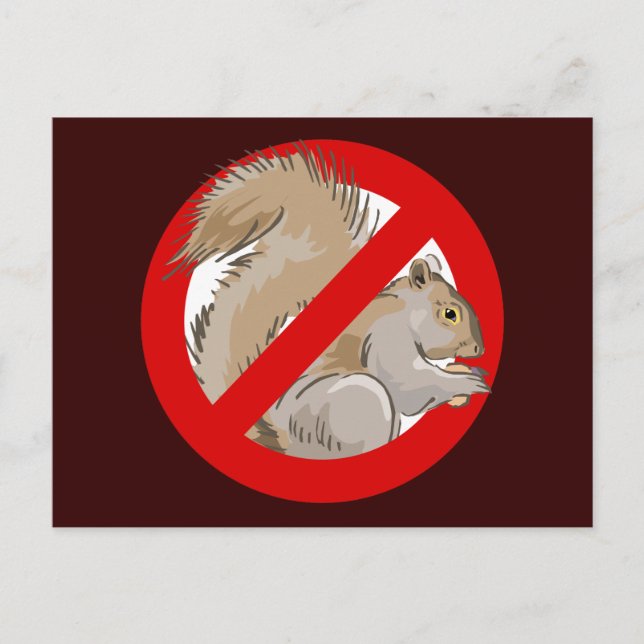 Anti-Squirrel Postcard (Front)