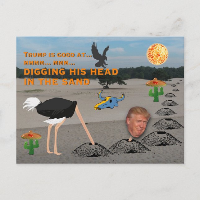 Anti Trump / Digging his head in the sand, Postcard (Front)