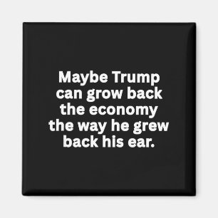 Anti-trump funny sarcastic political humour satire magnet