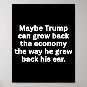 Anti-Trump Funny Sarcastic Political Humour Satire Poster
